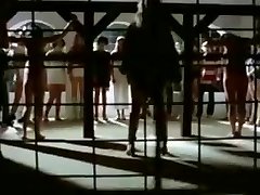 The nymph prison camp 1980 slave wifes milfs