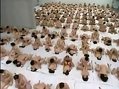 500 Chinese Orgy