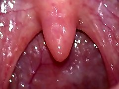 Jaws and uvula close up