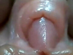 Mature clitoris close-up