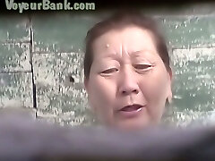 Hairy honeypot of a mature Asian lady in the public restroom room