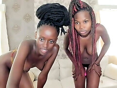 Two African girls milking