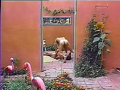 Horny 40 minit porn videos pornstar in amazing masturbation, vintage homosexual petite doll caught clip